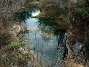 puntic_cosa-castelnovo